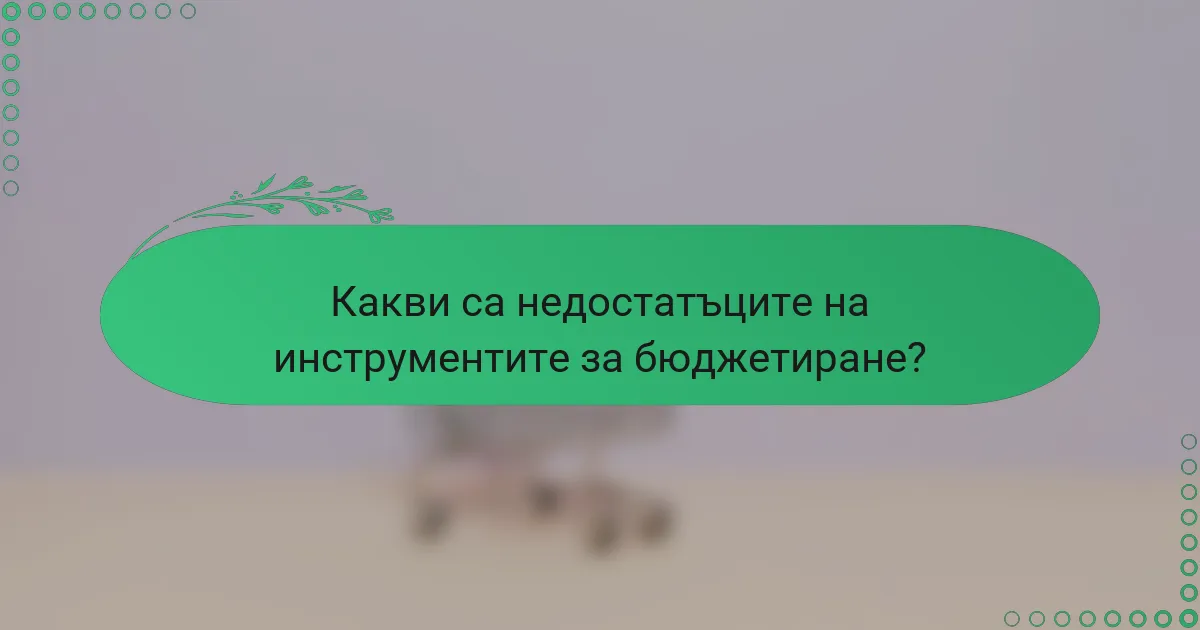 Какви са недостатъците на инструментите за бюджетиране?