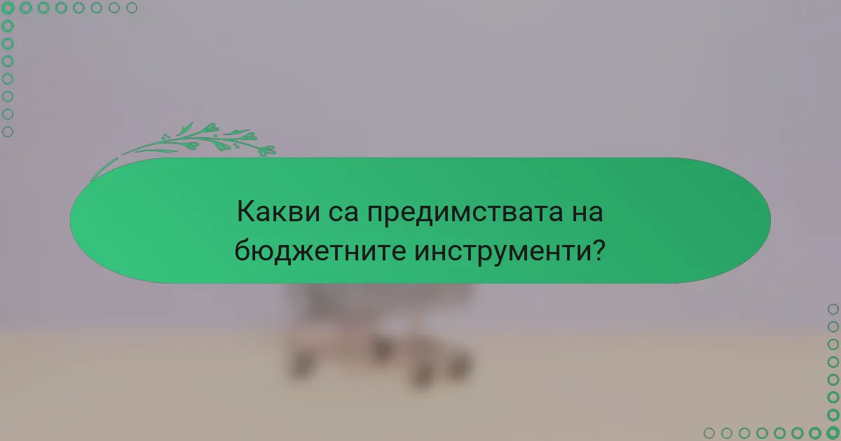 Какви са предимствата на бюджетните инструменти?